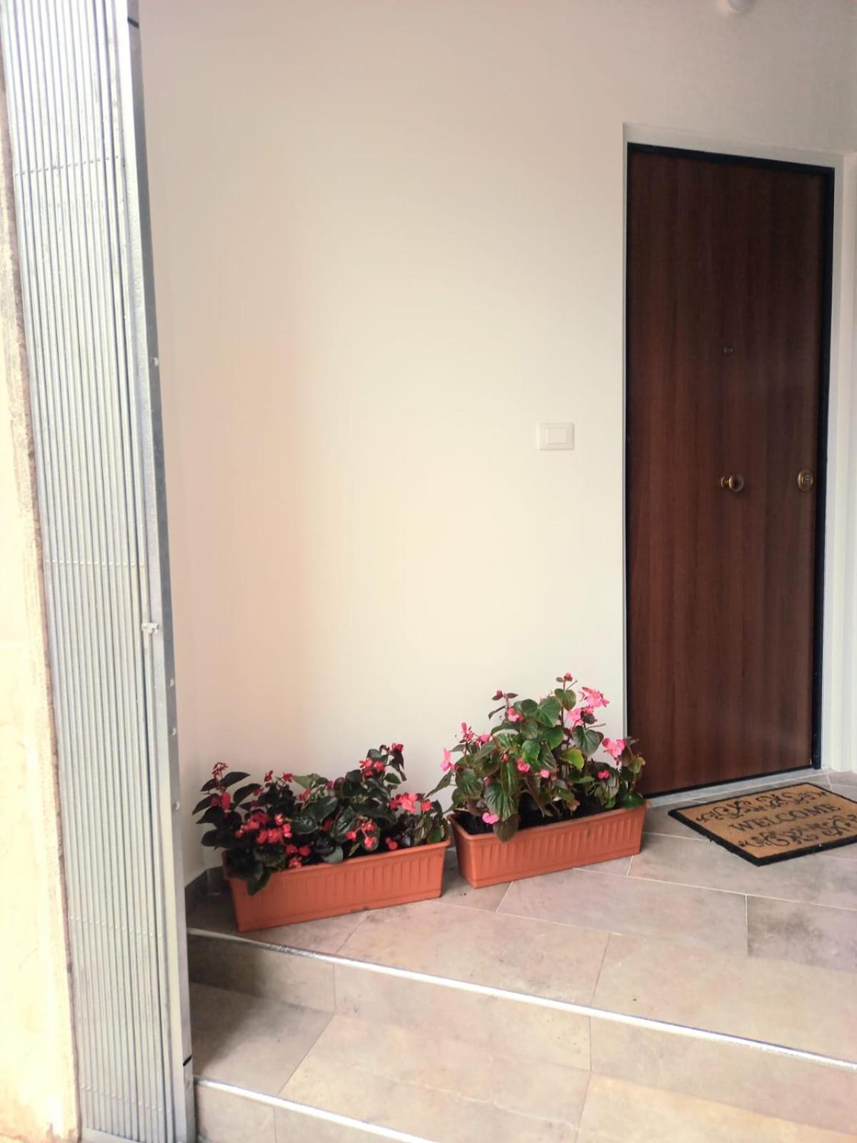 罗马Casa Delle Begonie公寓 外观 照片